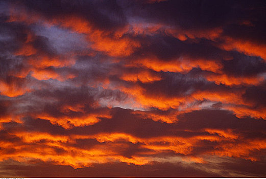 云,日落,靠近,帕伦克,墨西哥