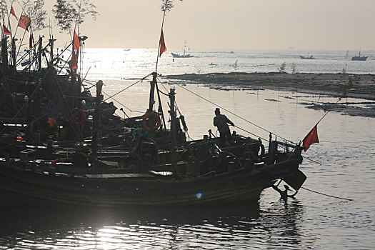 山东省日照市,入海口渔船插满摇钱树,渔民趁着涨潮出海捕鱼