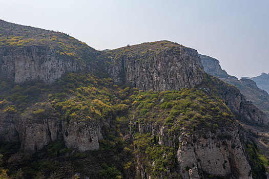 航拍济南南部山区杨家寨连翘花开