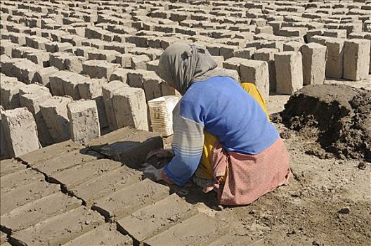砌结构,拉达克地区,女人,揉,粘土,砖,北印度,喜马拉雅山