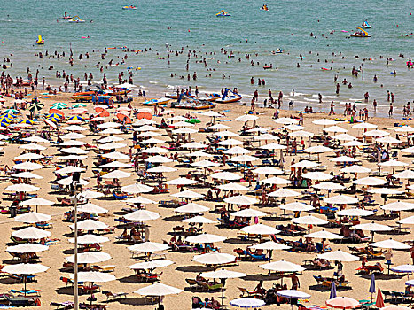 风景,海滩,伞,太阳,躺椅,浴者,利加诺黄金沙滩,乌迪内,亚得里亚海,海岸,意大利,欧洲