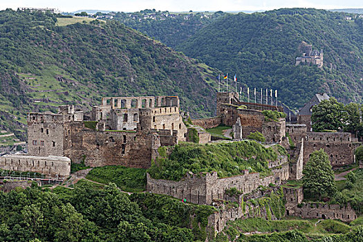 城堡,世界遗产,莱茵河中游,山谷,靠近,莱茵兰普法尔茨州,德国,欧洲