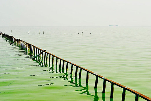 湖面,蓝藻
