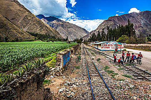 列车,轨道,旁侧,农田,学童,景色,旅途,神圣峡谷,印加,安迪斯山脉,秘鲁