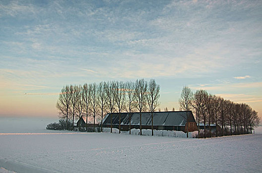 农场,冬天