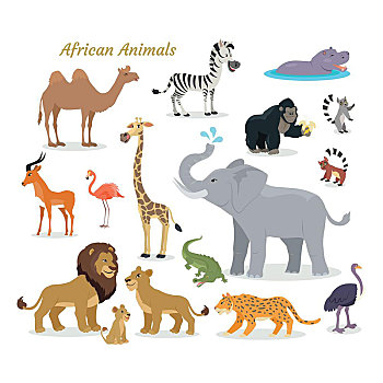 非洲,动物,物种,可爱,矢量,非洲动物,南方,食肉动物,骆驼,斑马,犀牛,大猩猩,树袋熊,鹿,火烈鸟,长颈鹿,大象,鳄鱼,虎,狮子,印度豹,鸵鸟