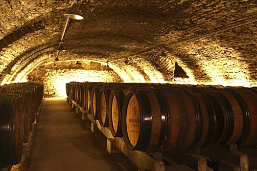 地窖,葡萄酒厂,勃艮第