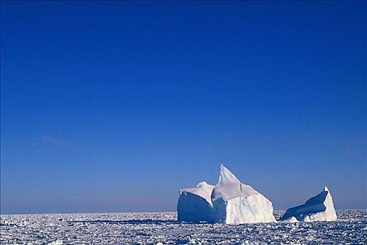 冰山,浮冰,拉布拉多海,拉布拉多犬,加拿大