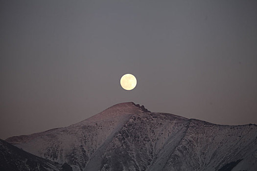 大寒逢十五,满月照天山