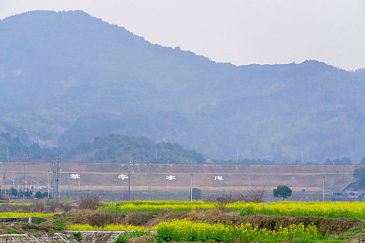 长沙望城区茶亭县油菜花