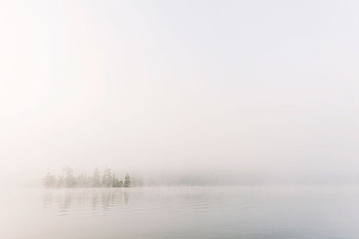 雾,上方,湖