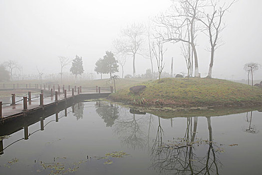 雾中屯溪江边的湿地公园