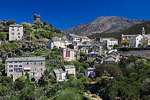 法国,科西嘉岛,科西嘉岬,城镇景色,旅游,塔