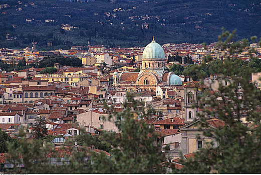 俯视,城市,犹太会堂,佛罗伦萨,意大利