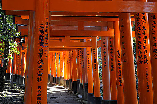 日本,京都,神祠,神社,大门,供品