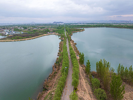 济南鹊山龙湖湿地