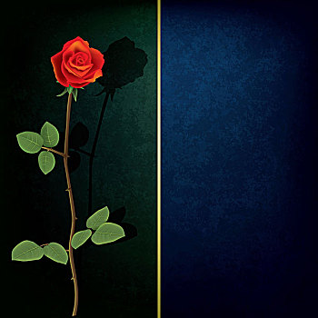 抽象,低劣,背景,玫瑰