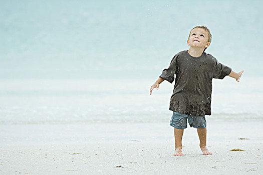 小男孩,海滩,仰视