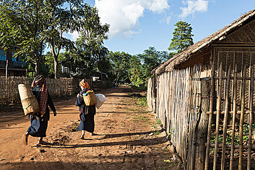 缅甸,茵莱湖,区域,掸邦,女人,走,乡村,市场