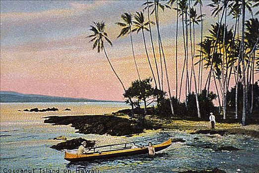 夏威夷,夏威夷大岛,椰树,岛屿,舷外支架,独木舟,棕榈树