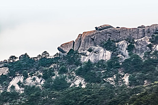 安徽省黄山市黄山风景区鳌鱼驼金龟自然景观