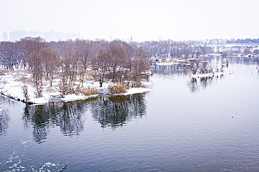 雪景