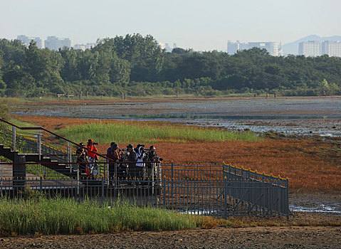 湿地,北戴河,秦皇岛,海滩,大潮坪,鸽子窝,落潮,涨潮,环保,保护