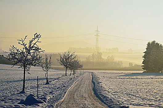 冬季风景,靠近,黑森林,德国