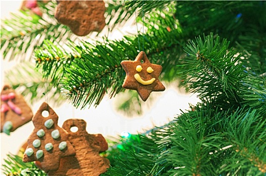 姜饼饼干,圣诞树