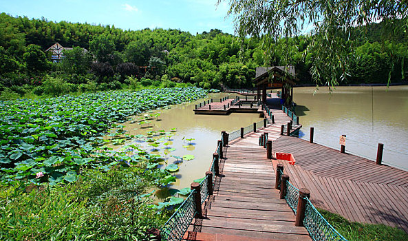 湖,水面,船