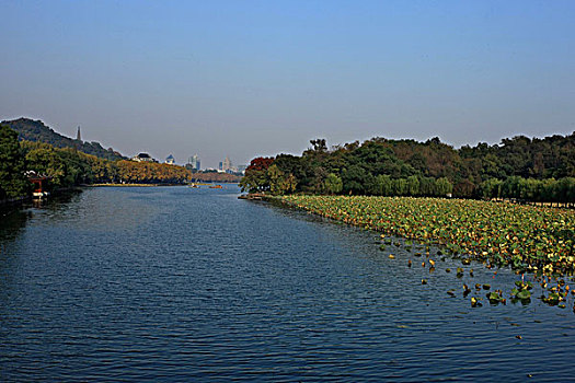 杭州里西湖全景