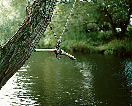 绳索,晃动,上方,河,系,树,剑桥,英国,六月,2004年