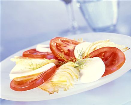 西红柿,白干酪,楔形,茴香