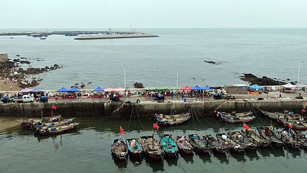 渔码头成了网红打卡地,游客赶海拾贝采购海鲜就像赶大集