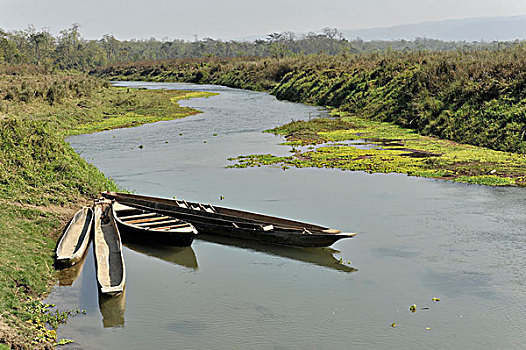 船,河,奇旺国家公园,尼泊尔,亚洲
