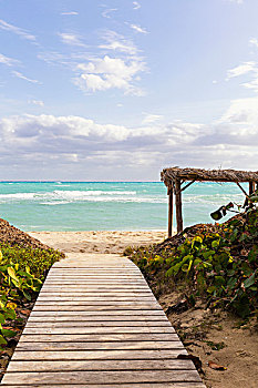 海滩,海洋,阿维拉省,古巴