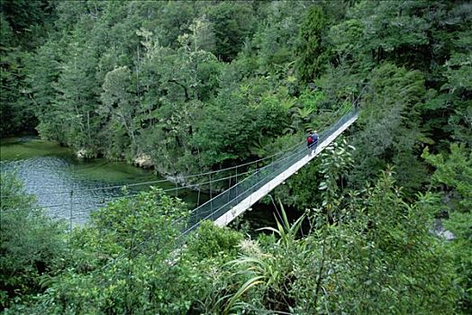 远足者,穿过,吊桥,国家公园,南岛,新西兰