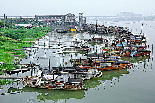 佛山市三水区水上人家