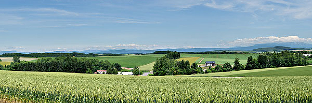 日本北海道美瑛