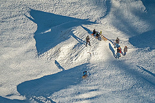 斜坡,滑雪,雪橇,冬季运动,藻厄兰,北莱茵威斯特伐利亚,德国