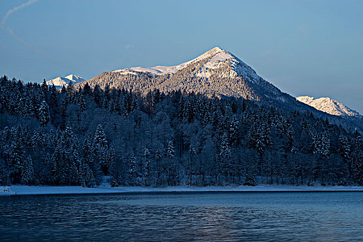 傍晚,湖,瓦尔幸湖,冬天,巴伐利亚,德国