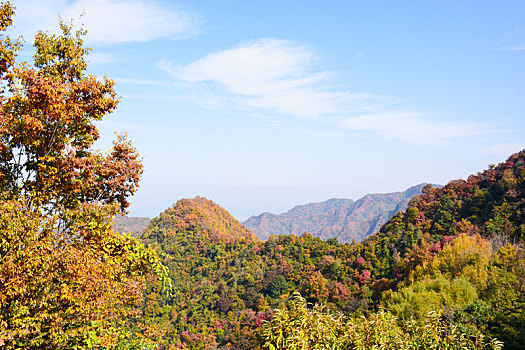 秦岭的秋