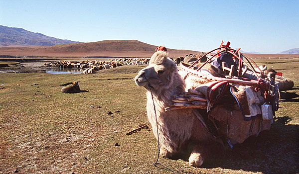 中国,新疆维吾尔自治区,风光