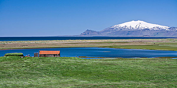 冰岛,农场,火山,远景