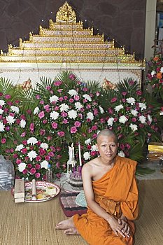 年轻,僧侣,棺材,泰国