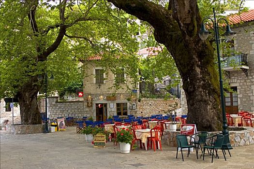 餐馆,老,悬铃木,伯罗奔尼撒半岛,希腊