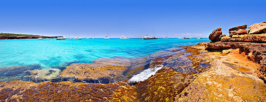 福门特拉岛,全景,海滩,一个,最好,世界,靠近,伊比萨岛