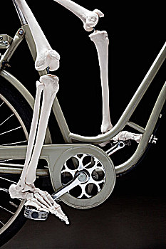 骨骼,自行车,下部