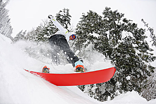 滑雪板玩家,跳跃,自由,乘,粉状雪,冬天