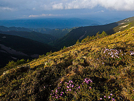 太白山景